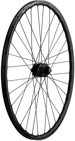 Delux 12 + Open Pro UST Disc + Sapim Race 28" Laufrad