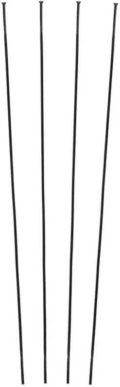 Campagnolo® Zonda C17 Ersatzspeichen Ab Modell 2016